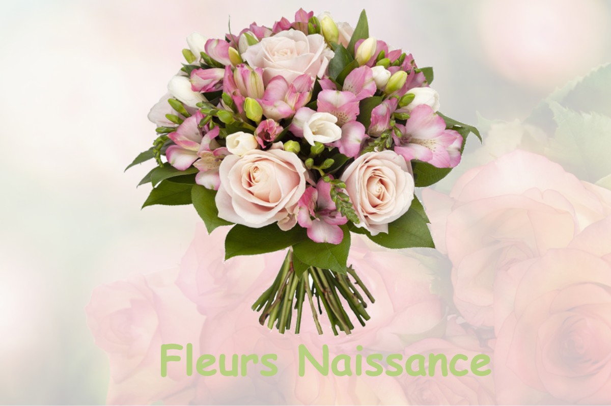 fleurs naissance SASSETOT-LE-MAUCONDUIT
